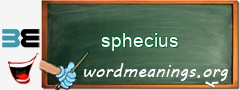 WordMeaning blackboard for sphecius